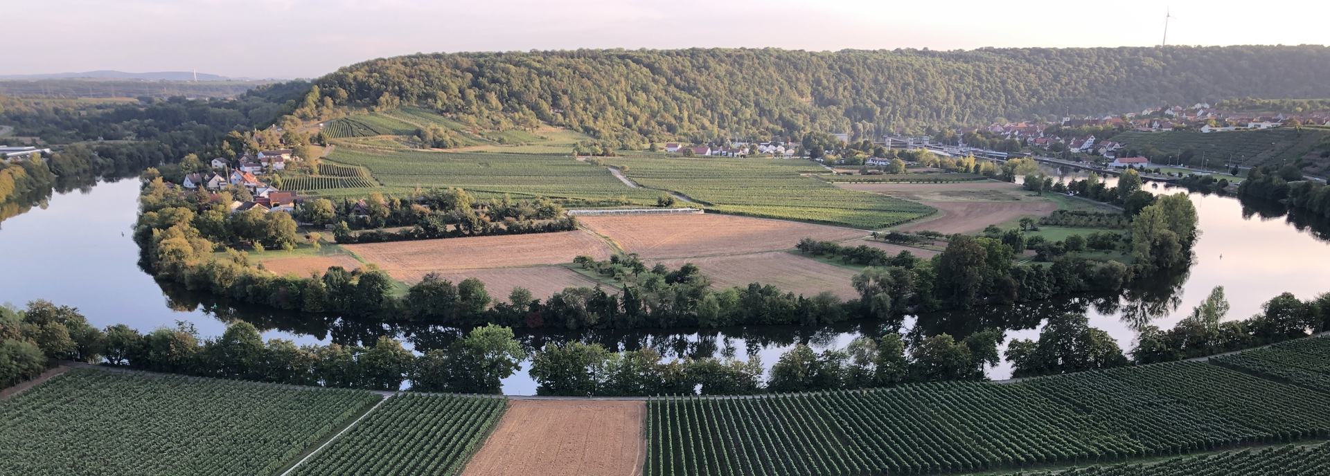 A river loop seen from a steep vineyard at dusk: rows of vines in the foreground, the water bending around fields and a wooded hill behind.